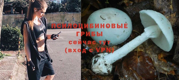 скорость Богородицк