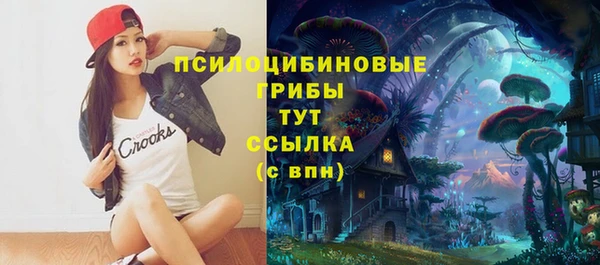 скорость Богородицк